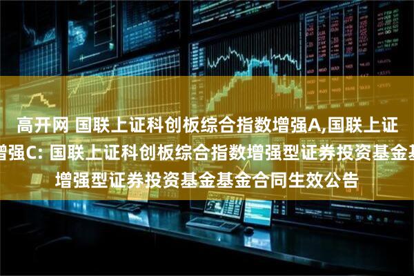 高开网 国联上证科创板综合指数增强A,国联上证科创板综合指数增强C: 国联上证科创板综合指数增强型证券投资基金基金合同生效公告