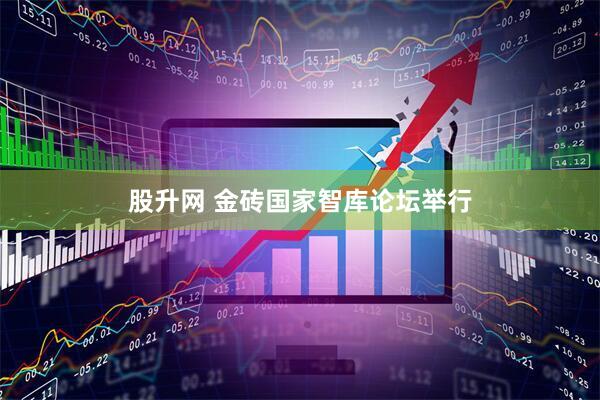 股升网 金砖国家智库论坛举行