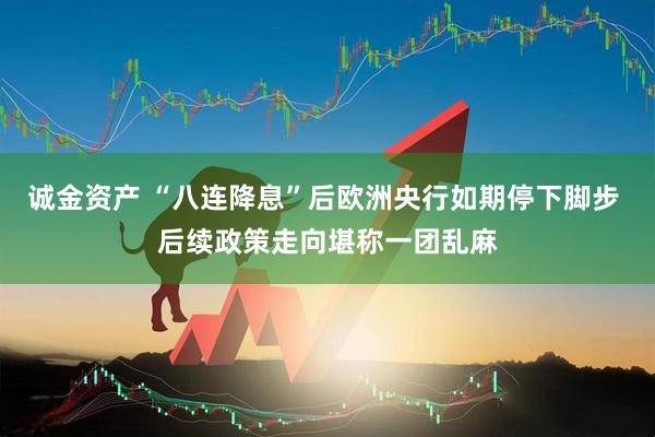 诚金资产 “八连降息”后欧洲央行如期停下脚步 后续政策走向堪称一团乱麻