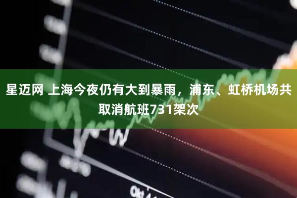 星迈网 上海今夜仍有大到暴雨，浦东、虹桥机场共取消航班731架次
