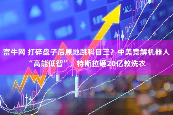 富牛网 打碎盘子后原地跳科目三？中美竞解机器人“高能低智”，特斯拉砸20亿教洗衣