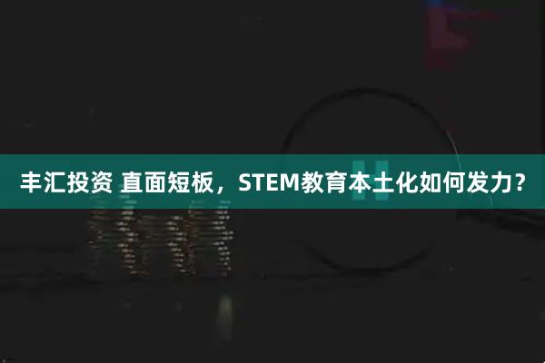 丰汇投资 直面短板，STEM教育本土化如何发力？