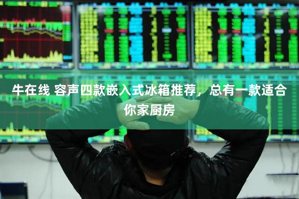 牛在线 容声四款嵌入式冰箱推荐,总有一款适合你家厨房