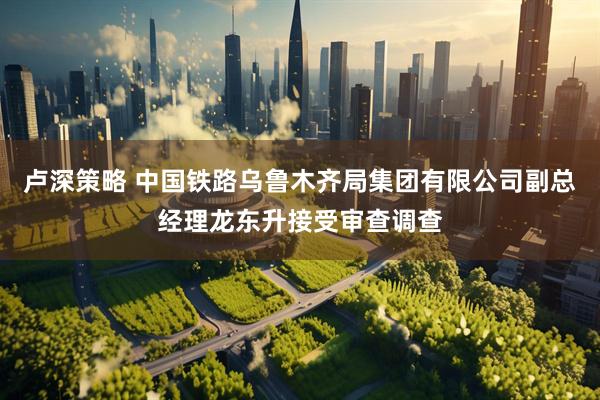 卢深策略 中国铁路乌鲁木齐局集团有限公司副总经理龙东升接受审查调查