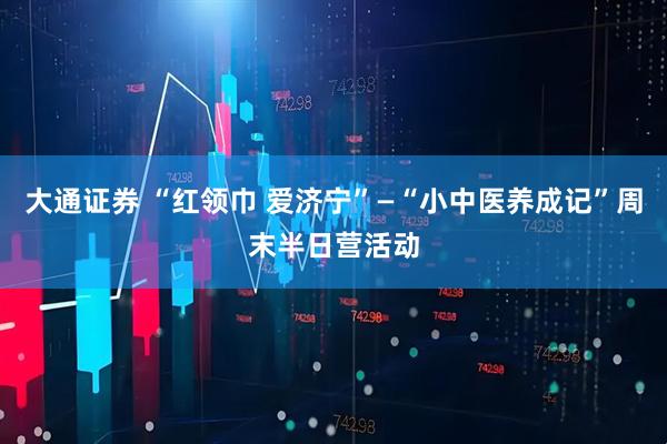 大通证券 “红领巾 爱济宁”—“小中医养成记”周末半日营活动